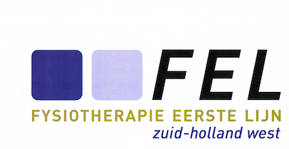 Samenwerkingen / FEL